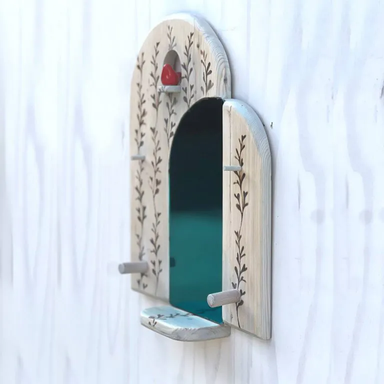 Mirror-with-Shelf